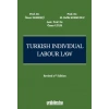Turkish Individual Labour Law