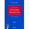 UygulamadaSözleşme Örnekleri 500e Yakın Sözleşme Örneği