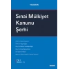 YasamanSınai Mülkiyet Kanunu Şerhi<br /> (3 Cilt Takım)