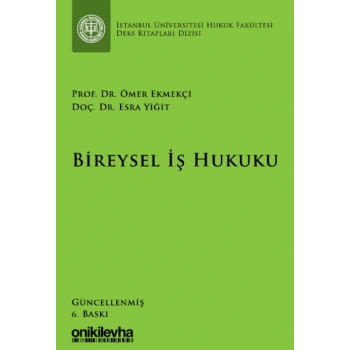 Bireysel İş Hukuku
