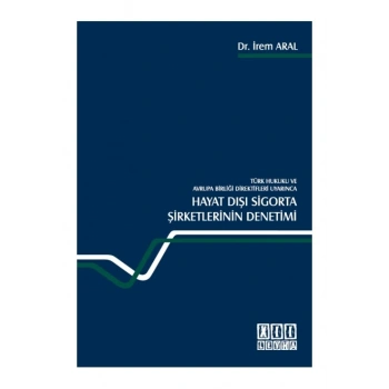 Hayat Dışı Sigorta Şirketlerinin Denetimi
