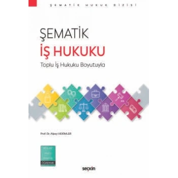 Şematik İş Hukuku Toplu İş Hukuku Boyutuyla