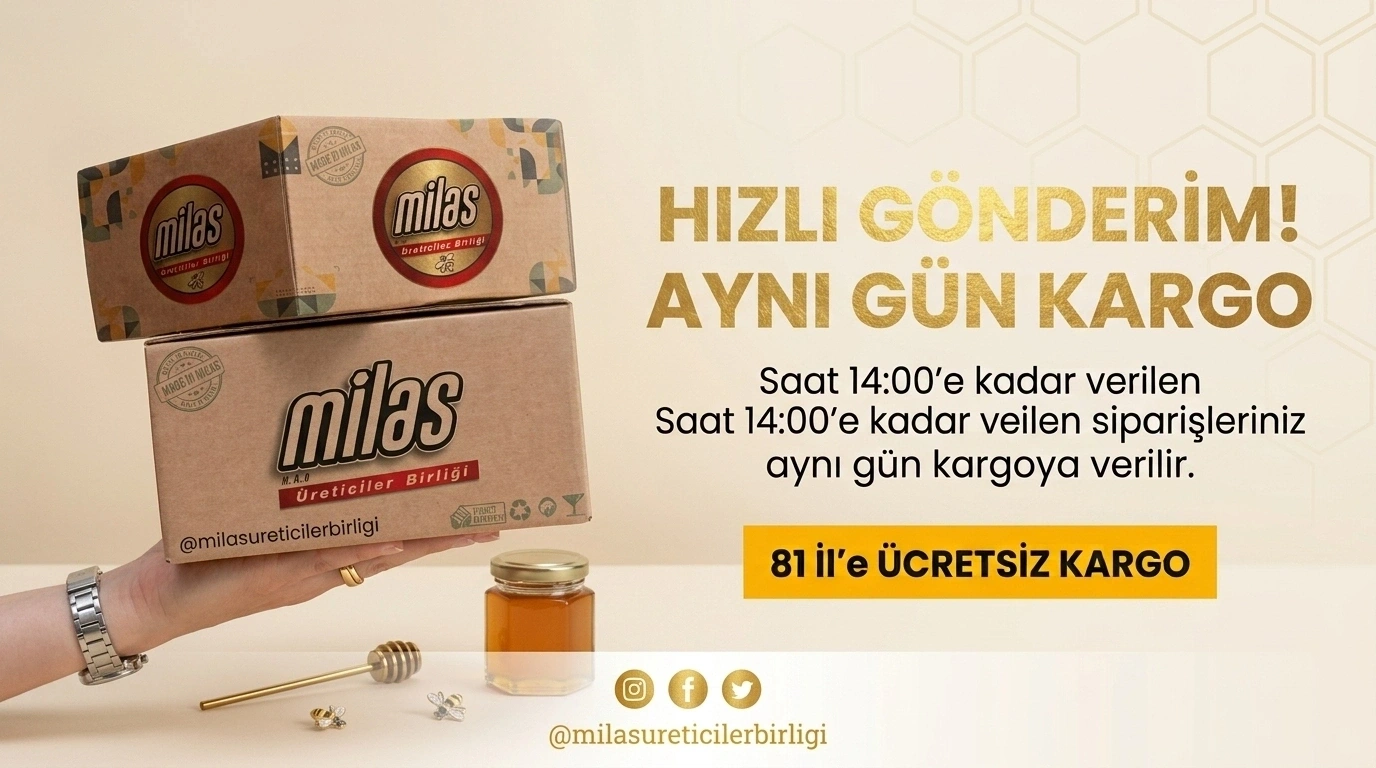 Aynı Gün Kargo