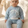 At Desenli % 100 Pamuk İnterlok 2li Erkek Bebek Takımı