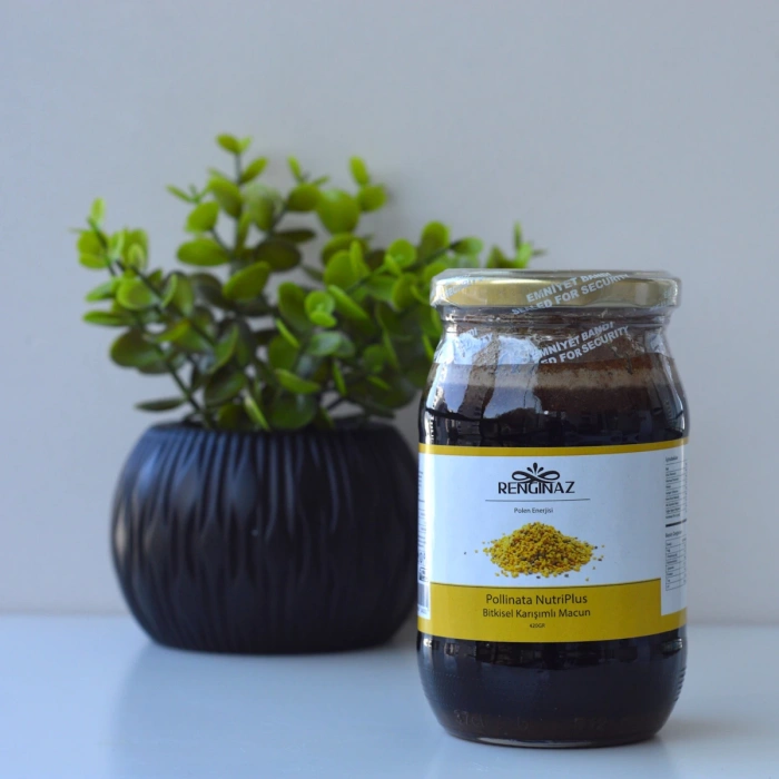 Pollinata NutriPlus Bitkisel Karışımlı Macun 420 gr