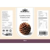 Conifera Forte Kozalak Şurubu 250 ml