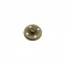 19.8 Mm Wıre Button Leg - Antik Sarı