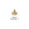 9.5 Mm Brass Short Naıl-1 - Ham