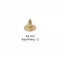 9.5 Mm Brass Short Naıl-2 - Ham