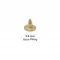 9.5 Mm Brass Long Naıl - Ham