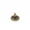 9.5 Mm Alımınıum Naıl Wıth Capped K-1 - Antik Sarı