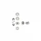 Tr 2100 Snap Button - Free Nikel