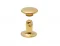 6 Mm Trop Rıvet Cap Part Long - Sıcak Sarı Free Nikel