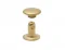 7 Mm Trop Rıvet Cap Part Long - Ham