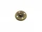 19.8 Mm Wıre Button Leg - Antik Sarı