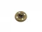 22.3 Mm Wıre Button Leg - Antik Sarı