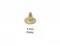 7 Mm Brass Naıl - Ham