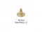 9.5 Mm Brass Short Naıl-2 - Ham
