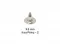 9.5 Mm Brass Short Naıl-2 - Free Nikel