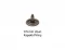 9.5 Mm Brass Short Naıl Wıth Capped - Kalay Oksit