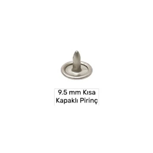 9.5 Mm Brass Short Naıl Wıth Capped - Free Nikel