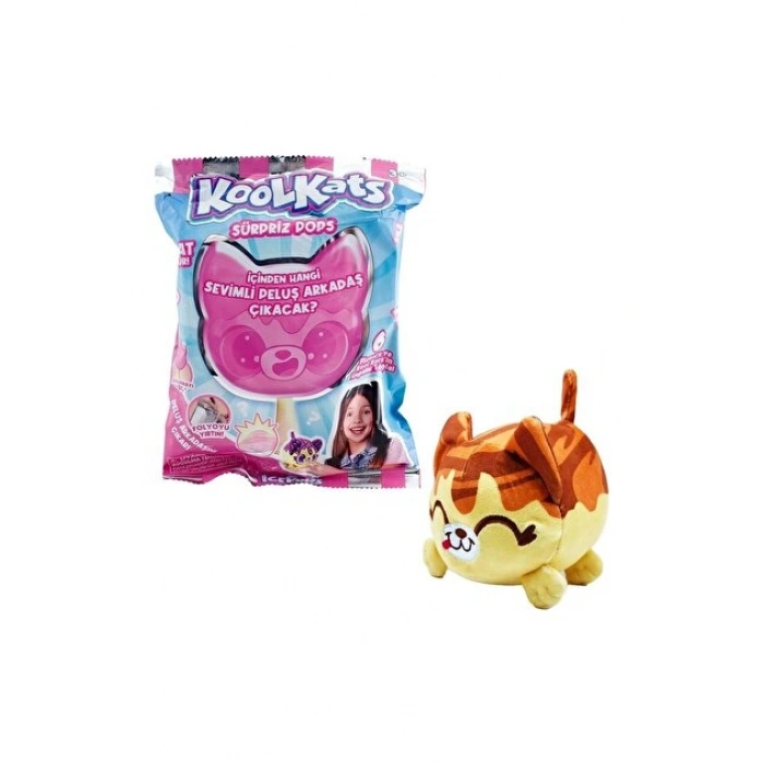 NECO TEAM/2411001 ICEPOPS-KOOLKATS