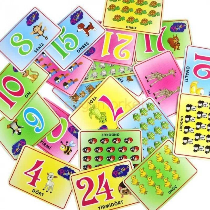 ONYIL ONY-27 EĞİTİCİ RESİMLİ BİLGİ KARTI RAKAMLAR