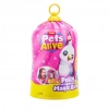 GP PEL008000-9561 PETS ALIVE SİHİRLİ KUŞ*4