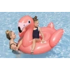 KZLD-BW41525 BINICI FLAMINGO TUTANMALI 138X107CM 8