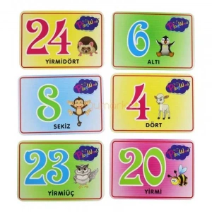 ONYIL ONY-27 EĞİTİCİ RESİMLİ BİLGİ KARTI RAKAMLAR