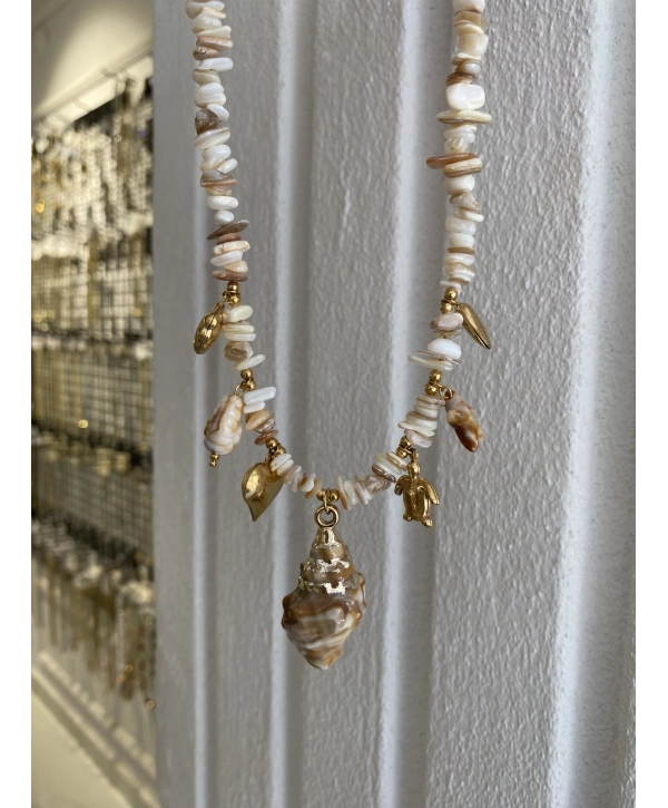 Çelik Sıralı Boncuk Deniz Kabuğu Detay Çharm Kolye