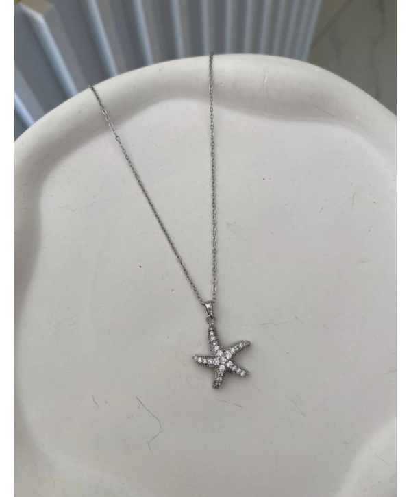 Çelik Zirkon Taş Deniz Yıldız Kolye