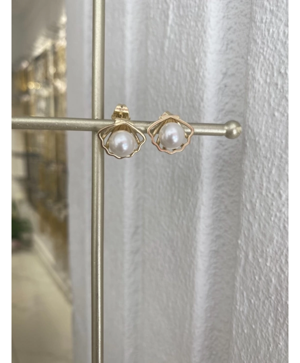 Özel Seri İnci Detay Mİdye Küpe