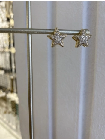 Özel Seri Zirkon Taş Yıldız Küpe