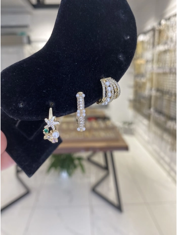 VIP Deniz Yıldız Küpe Kombini