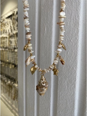 Çelik Sıralı Boncuk Deniz Kabuğu Detay Çharm Kolye