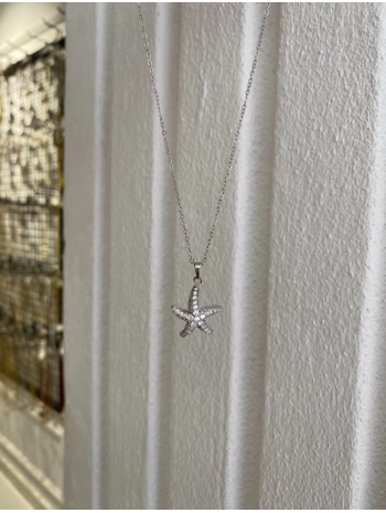 Çelik Zirkon Taş Deniz Yıldız Kolye