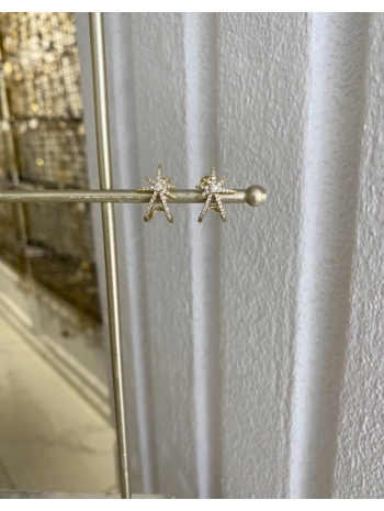 Özel Seri Yıldız Detay Küpe