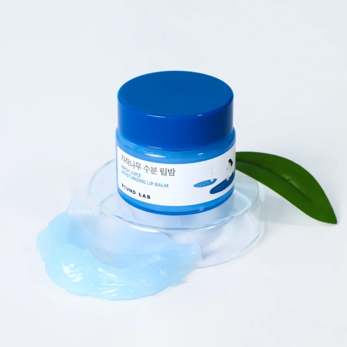 ROUND LAB - Birch Juice Moisturizing Lip Balm Set