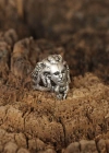 Medusa Model Ayarlanabilir Erkek Yüzük
