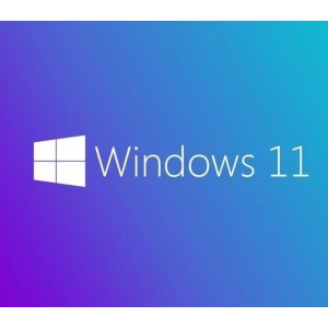 MS WINDOWS 11 PRO 64 BIT INGILIZCE OEM FQC-10528