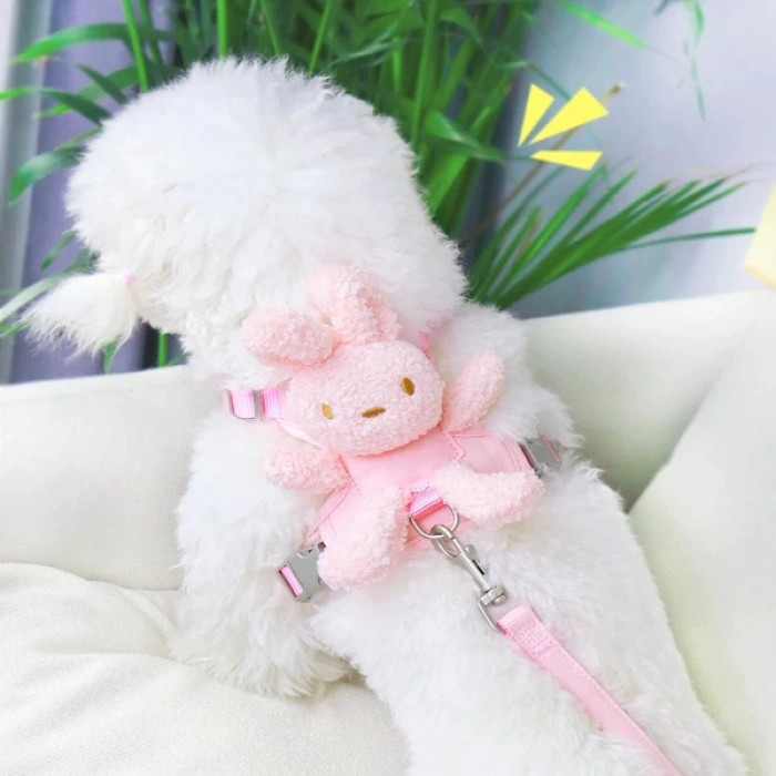 Evcil Hayvan Peluş Ayıcıklı Göğüs Gezdirme Tasması Set