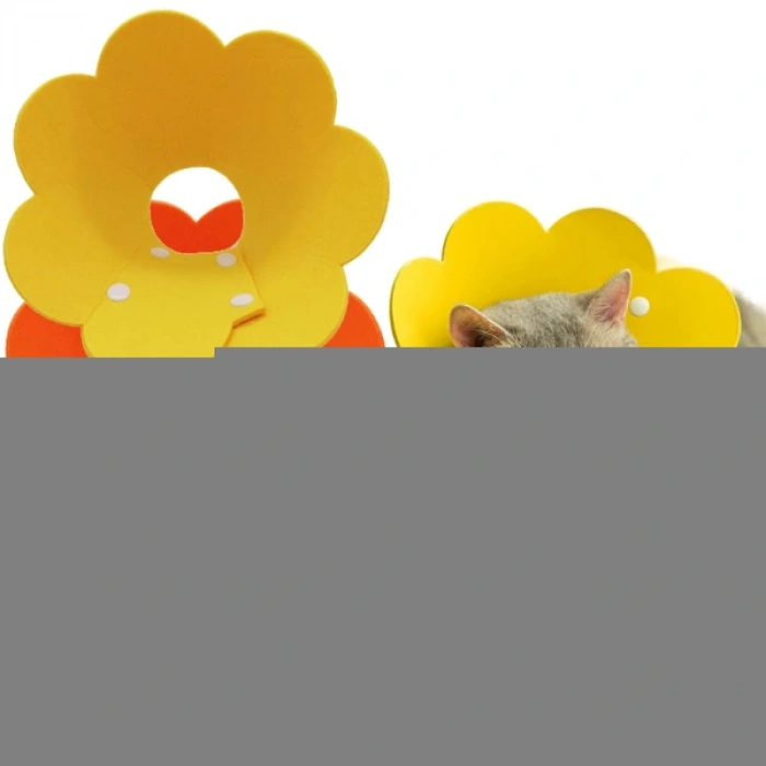 Evcil Hayvan XL Boy Keçe Elizabeth Yakalığı