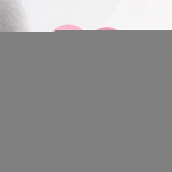 Evcil Hayvan XL Boy Keçe Elizabeth Yakalığı