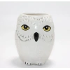 Harry Potter Hedwig Tasarım Porselen Kupa Bardak