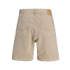 12273387 Geniş Kesim Erkek Baggy Short Taş