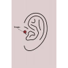 316L Çelik Gümüş Renk Zirkon Taşlı Toplu İğne Tragus Piercing