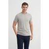 4623 Bisiklet Yaka Basıc Erkek T-Shirt Gri