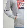 Logo Baskılı Kapüşonlu Erkek Sweatshirt