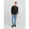 Organik Pamuk Erkek Sweatshirt
